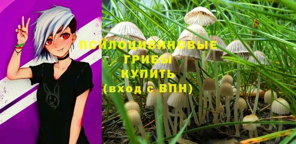 mdpv Мегион