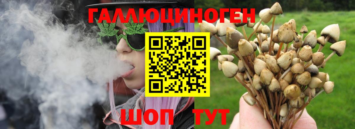 Псилоцибиновые грибы прущие грибы Тамбов